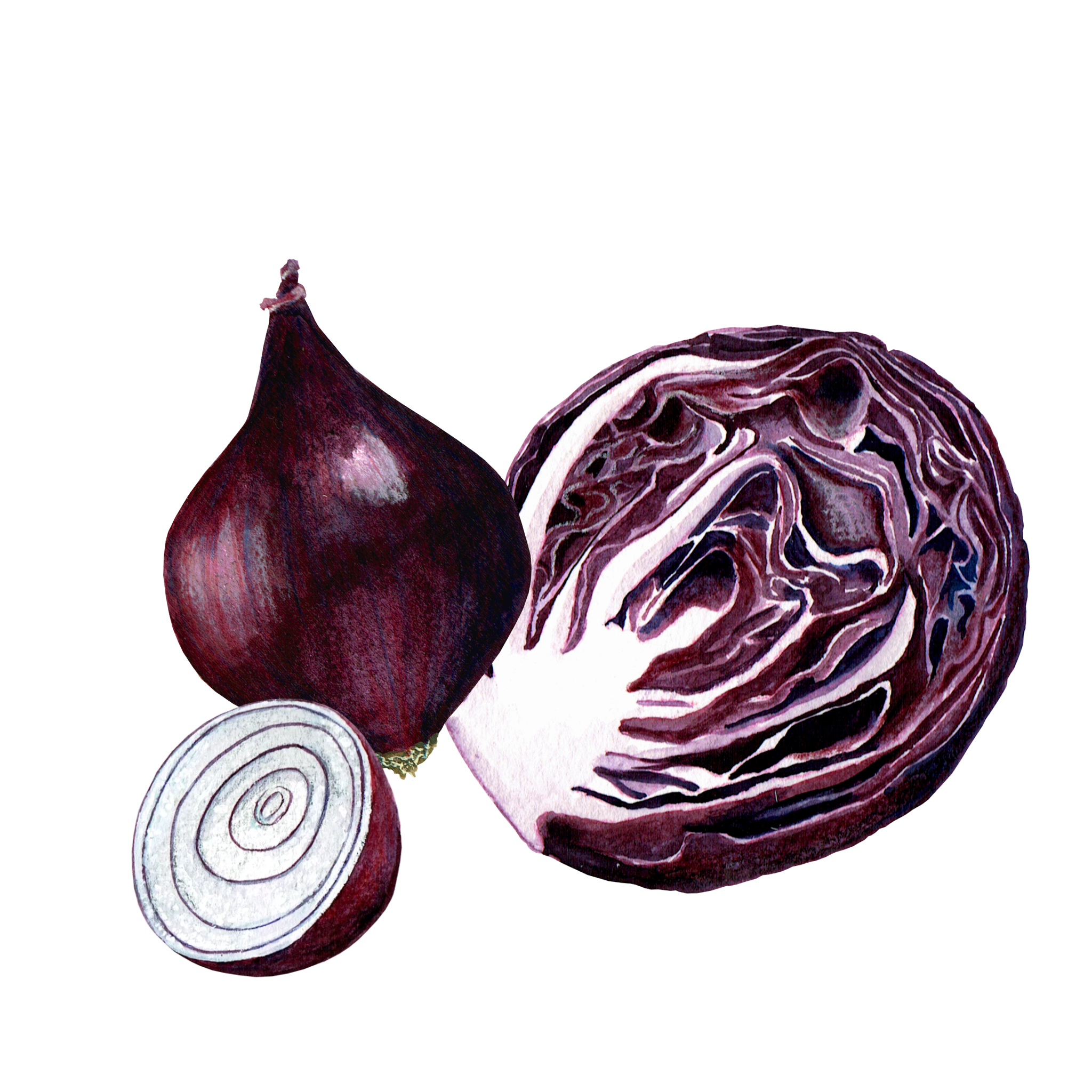CABBAGE_ONION.png